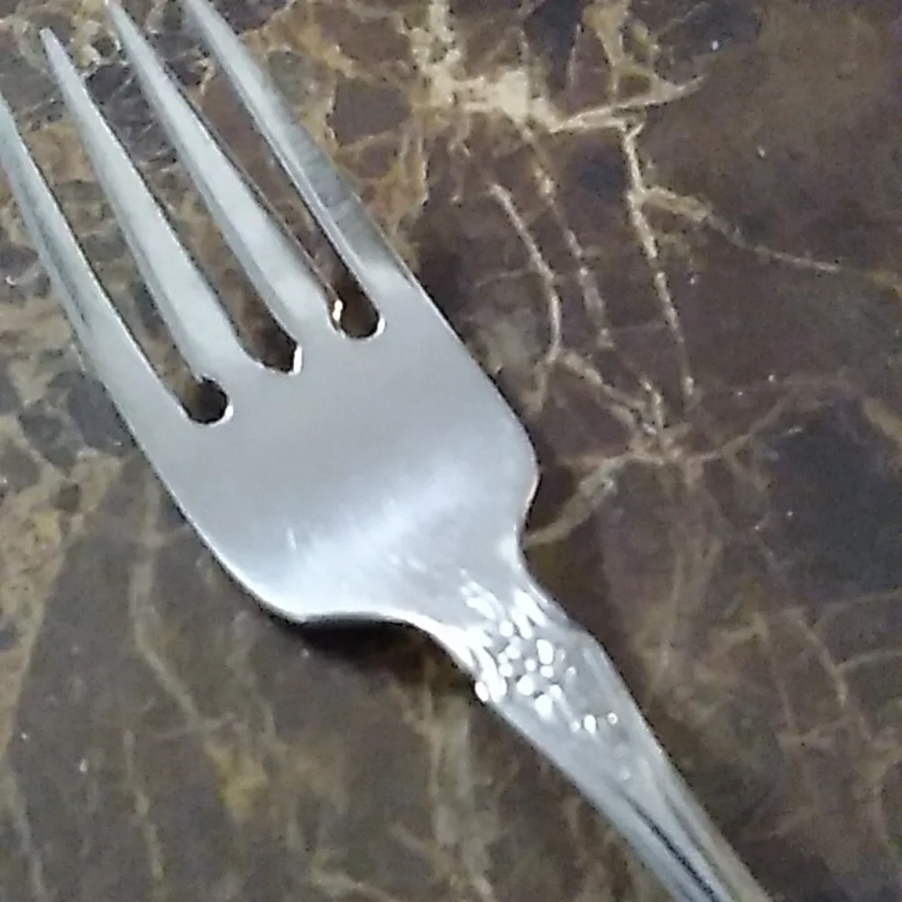 Distinction Deluxe Raphael 1 Salad Fork Glossy Stainless Flatware